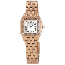 Pre-owned Cartier Panthere De Cartier Diamond Silver Dial Ladies Watch WJPN0008