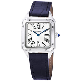 Cartier Santos-Dumont Small Model Quartz Silver Dial Ladies Watch wssa0023