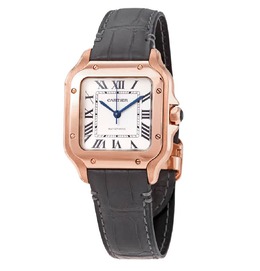 Cartier Santos de Cartier Medium Automatic Ladies Watch wgsa0012