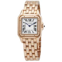 Pre-owned Cartier Panthere De Cartier Silver Dial Ladies Watch wgpn0007