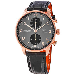 IWC Portugieser Chronograph Automatic Grey Dial Watch iw371610