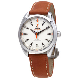 Omega Seamaster Aqua Terra Automatic Mens Watch 220.12.41.21.02.001