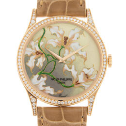 Patek Philippe Rare Handcrafts Automatic Diamond Cloisonne Enamel Dial Watch 5077-100r-036