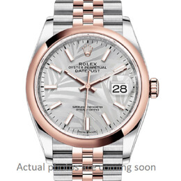 Rolex Datejust 36 Automatic Silver Palm Motif Dial Chronometer Watch 126201ssplmj