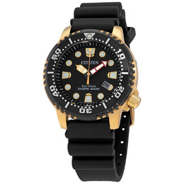 Citizen Professional Diver Black Dial Mens Watch bn0152-06e
