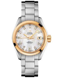 Omega Seamaster Aqua Terra Women's Watch 231.20.30.20.55.004