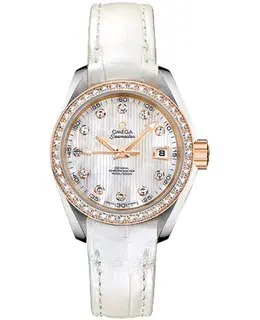 Omega Seamaster Aqua Terra Women's Watch 231.28.30.20.55.001