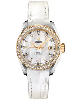Omega Seamaster Aqua Terra Women's Watch 231.28.30.20.55.002