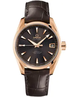 Omega Seamaster Aqua Terra Automatic Chronometer 38.5mm Men's Watch 231.53.39.21.06.001