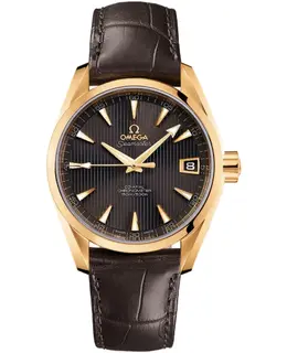 Omega Seamaster Aqua Terra Automatic Chronometer 38.5mm Men's Watch 231.53.39.21.06.002
