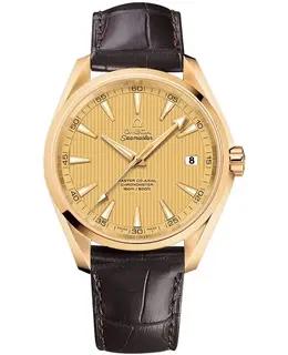 Omega Seamaster Aqua Terra 150m Master Co-Axial Men's Watch 231.53.42.21.08.001