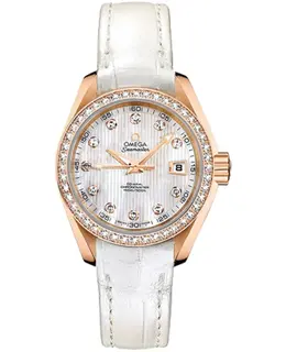 Omega Seamaster Aqua Terra Women's Watch 231.58.30.20.55.001