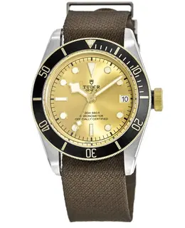 TUDOR Black Bay 41 S&G Champagne Dial Men's Watch M79733N-0006