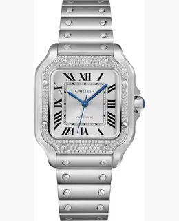 SILVER DIAL DIAMOND STEEL W4SA0005