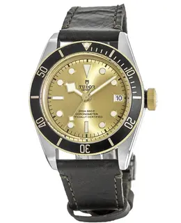 Tudor Black Bay 41 m79733n-0003
