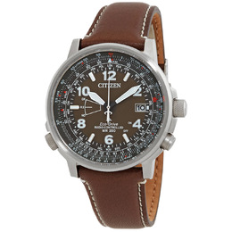 Citizen Eco-Drive Promaster Sky Perpetual World Time Brown Dial Mens Watch CB0240-29X