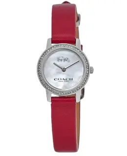 Coach Audrey Stainless Steel Red Strap Women's Watch 14503362