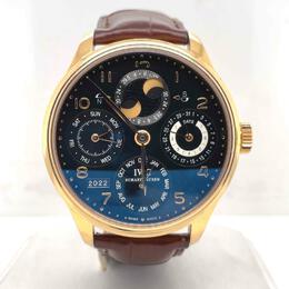 Pre-owned IWC Portuguese Perpetual Calendar Mens Watch iw502119