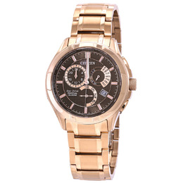 Citizen Eco-Drive Perpetual GMT Mens Watch BL8163-50X