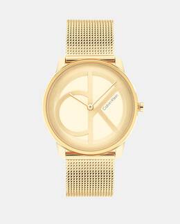 Мужские часы Iconic 25200034 Золотая стальная сетка Calvin Klein, золотой 7613272456647 | oro