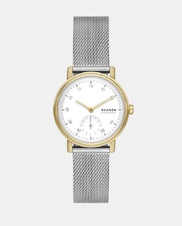 Женские часы со стальной сеткой SKW3101 Skagen, серебро 4064092231908 | plata