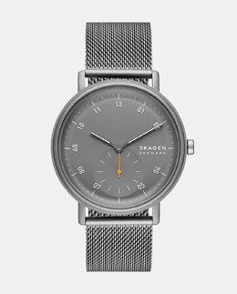 SKW6891 Мужские часы из серой стали Skagen, серый 4064092231830 | gris
