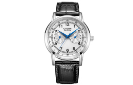 Мужские часы Citizen Ecology-Drive Collection ao9000-06b