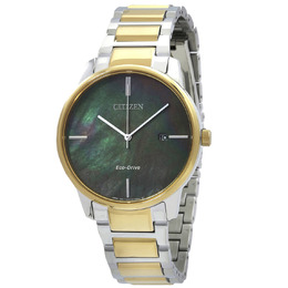 Citizen Quartz Watch BM7524-87Y
