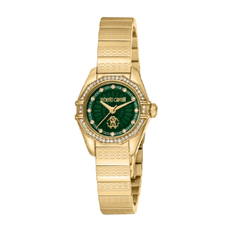 Roberto Cavalli Fashion Watch Quartz Green Dial Ladies Watch rc5l054m0065