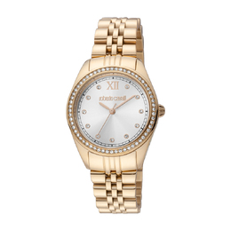 Roberto Cavalli Fashion Watch Quartz Silver Dial Ladies Watch rc5l036m0075