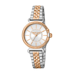 Roberto Cavalli Fashion Watch Quartz Silver Dial Ladies Watch rc5l061m0095