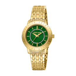 Roberto Cavalli Fashion Watch Quartz Green Dial Ladies Watch rc5l030m0065
