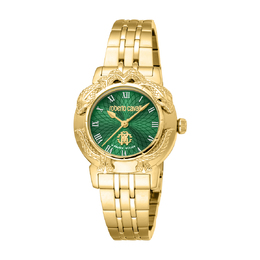 Roberto Cavalli Fashion Watch Quartz Green Dial Ladies Watch rv1l227m0061