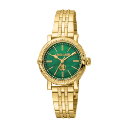 Roberto Cavalli Fashion Watch Quartz Ladies Watch rv1l193m0061