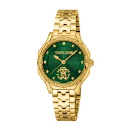 Roberto Cavalli Fashion Watch Quartz Green Dial Ladies Watch rv1l225m0051