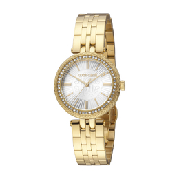 Roberto Cavalli Fashion Watch Quartz Silver Dial Ladies Watch rc5l031m0065