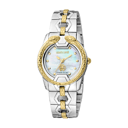 Roberto Cavalli Fashion Watch Quartz Ladies Watch rv1l168m0051