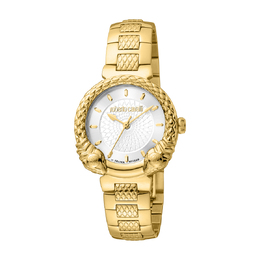 Roberto Cavalli Fashion Watch Quartz Silver Dial Ladies Watch rv1l190m0041