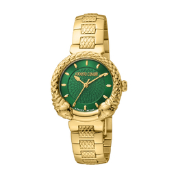 Roberto Cavalli Fashion Watch Quartz Green Dial Ladies Watch rv1l190m0051