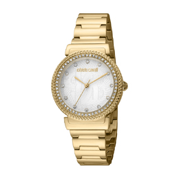 Roberto Cavalli Fashion Watch Quartz Silver Dial Ladies Watch rc5l039m0055