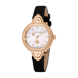Roberto Cavalli Fashion Watch Quartz Ladies Watch rv1l203l0031