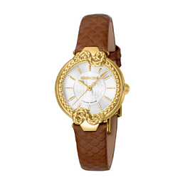 Roberto Cavalli Fashion Watch Quartz Silver Dial Ladies Watch rv1l214l0021