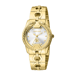 Roberto Cavalli Fashion Watch Quartz Silver Dial Ladies Watch rv1l168m0021