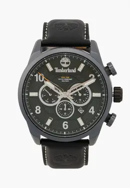 Часы Timberland tdwgh2100605