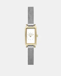 SKW3147 Женские часы со стальной сеткой Skagen, серебрянный 4064092297591 | plata