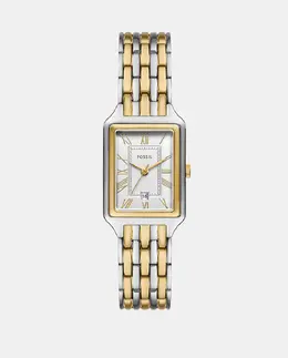 Двухцветные женские часы из стали ES5368 Fossil, мультиколор 4064092295580 | multicolor