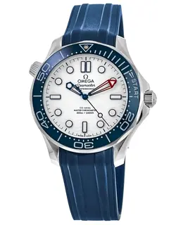 Omega Seamaster Diver 300M America's Cup Automatic White Dial Blue Rubber Strap Men's Watch Model 210.32.42.20.04.002