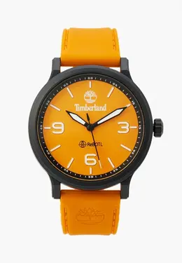 Часы Timberland tdwgm0029502