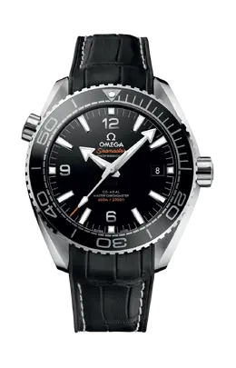Часы planet ocean 600m co axial master chronometer 43 Omega 215.33.44.21.01.001