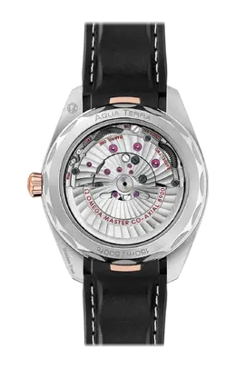 Часы seamaster aqua terra 150m co axial master chronometer 41 мм Omega 220.22.41.21.02.001